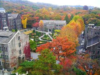 yonsei_view.jpg