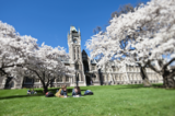 51_University of Otago.png