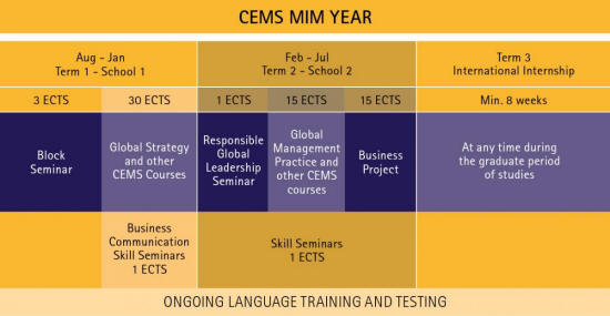 CEMS MIM Year